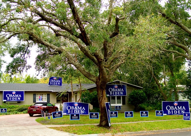 That aside, in Florida only Republicans grow on trees. (shutterblog)