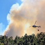 The wildfire broke out around 1:30 p.m. in the area of Old Dixie Highway and U.S. 1 and grew to 170 acres Wednesday. (© FlaglerLive)