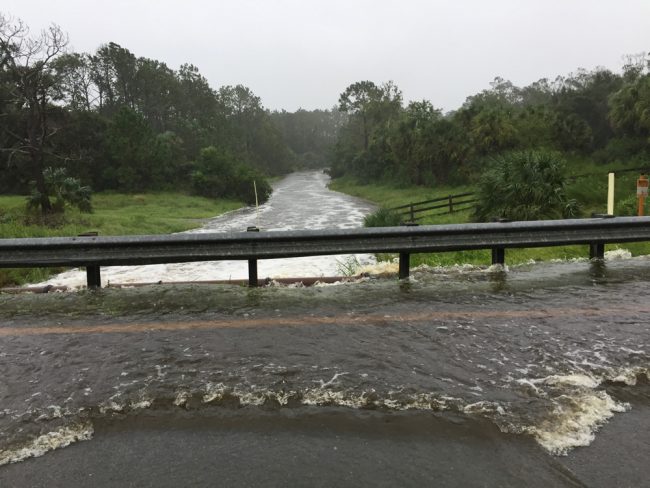 The washout on Old Kings Road near Graham Swamp. (Palm Coast)