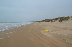 Omaha Beach today. Click on the image for larger view. (c FlaglerLive)