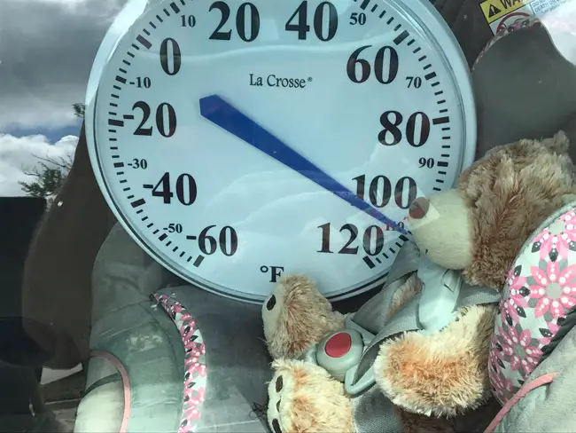 A temperature gauge inside a car today at the Target shopping center showed, during a demonstration by the Sheriff's Office and DCF, how quickly heat rises inside a vehicle. (© FlaglerLive)