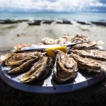 contaminants in oysters