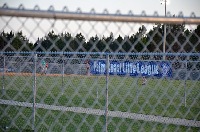 palm coast little league contract