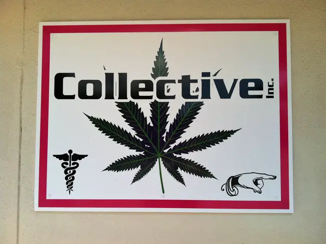 palm coast medical marijuana pot dispensaries