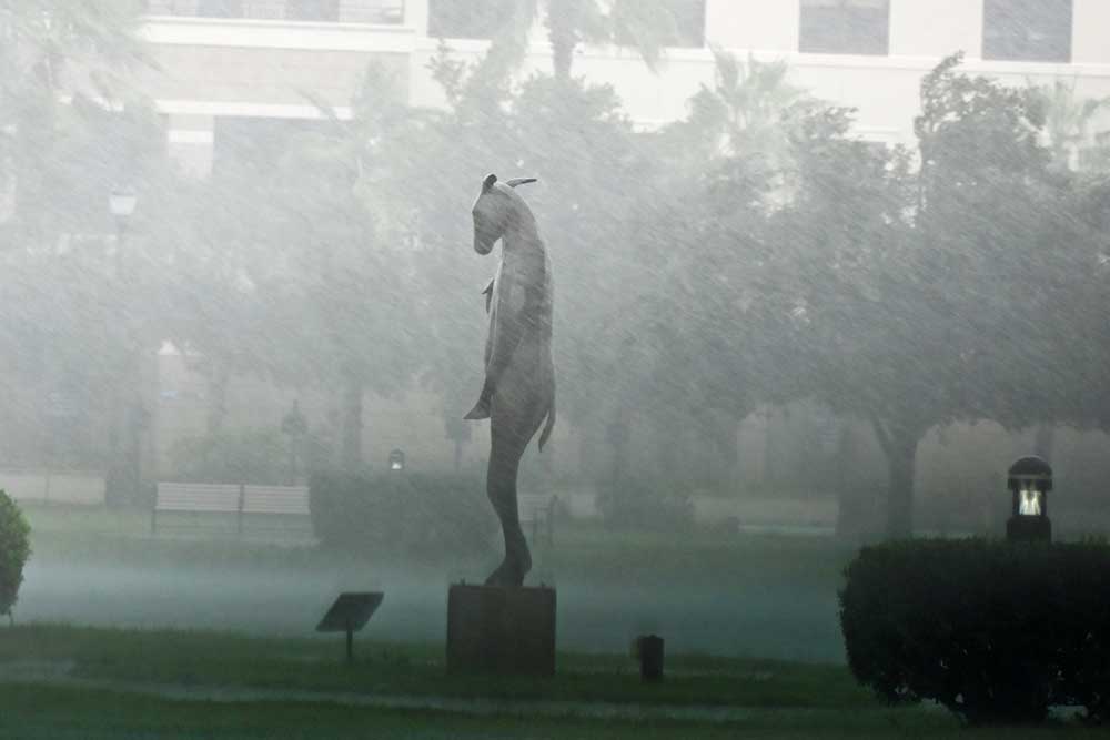 A symbol of resilience in Palm Coast: "Burro With a Bird," the 10-foot high bronze sculpture by artist Copper Tritscheller, stood calmly against the storm's whipping rains and winds at midday today in Palm Coast's Central Park. A few dozen yards away at City Hall, a large contingent of city employees were hunkered down in City Hall's chambers, operating the city's emergency operations center. (© FlaglerLive)