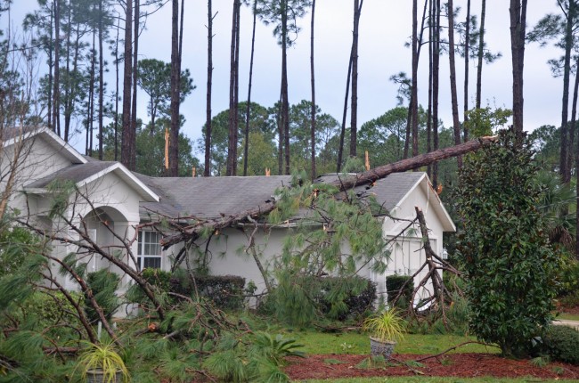 Another house on Bannerwood Lane. Click on the image for larger view. (© FlaglerLive)