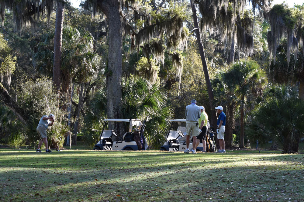 Palm Harbor Golf Club