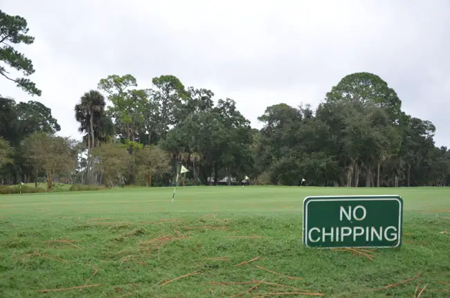 Palm Coast is putting on a new face on management of the city-owned Palm Harbor Golf Course--its own. (© FlaglerLive)