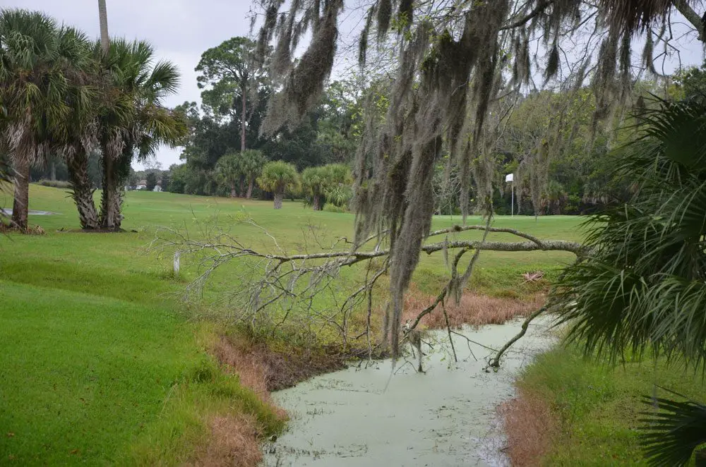 The Palm Harbor golf course neighborhood would see significant changes, as would the Palm Coast marina, if a pair of proposed developments make it through Palm Coast government's regulatory process in the next few weeks. (© FlaglerLive)