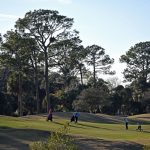 Can you spot the eagle? A scene at Palm Harbor Golf Course. (© FlaglerLive)