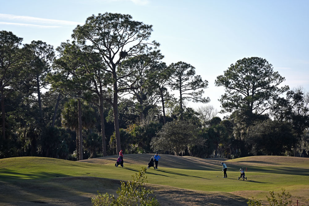 Can you spot the eagle? A scene at Palm Harbor Golf Course. (© FlaglerLive)