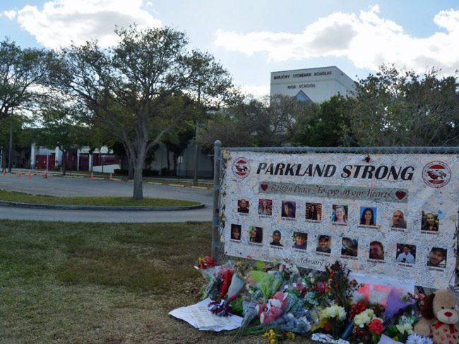 Victims of an AR-15 and 300 rounds of ammunition. (NSF)