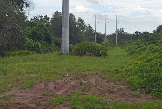 Pavement on its way for the FPL path leading to Matanzas High School. (© FlaglerLive)