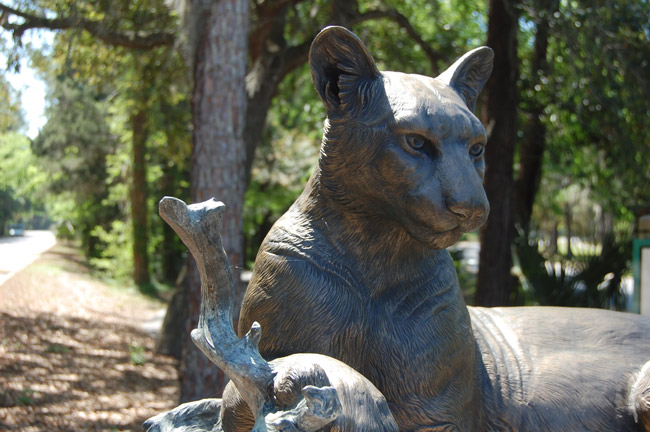 A detail of Paul Baliker's bronze sculpture of a panther, installed at the entrance of Linear Park in Palm Coast in 2010 through the auspices of the Gargiulo Art Foundation. Tom Gargiulo now wants to put up a whole garden of sculptures in Town Center. (© FlaglerLive)