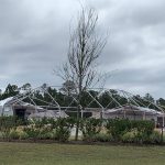 The Palm Coast Arts Foundation's Big Tent is not as much of a big tent after last week's wind-storm. It would not have been much of an issue--it's repairable--but the Foundation was preparing for its annual co-production of Shakespeare in the Park, with City Repertory Theatre. So: the planned performances from Thursday through Sunday have been moved to CRT's venue at City Marketplace--and all shows are sold out. See details here. (PCAF)