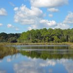 Flagler County's purchase of more than 300 acres in the northern part of the county will help protect the waters of Pellicer Creek. (© FlaglerLive)