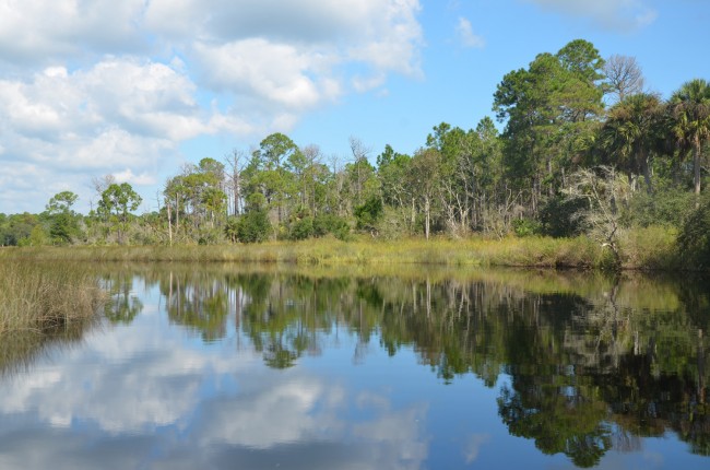 The plane fell in the otherwise pastoral area of Pellicer Creek. Click on the image for larger view. (© FlaglerLive)