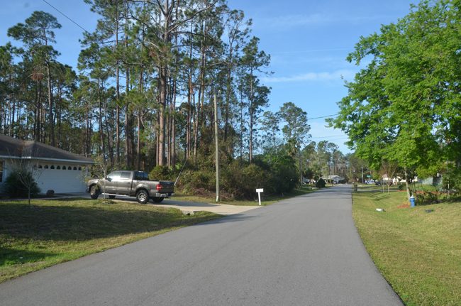 The area of Peppercorn Lane where the suspicious incident took place Monday. (c FlaglerLive)