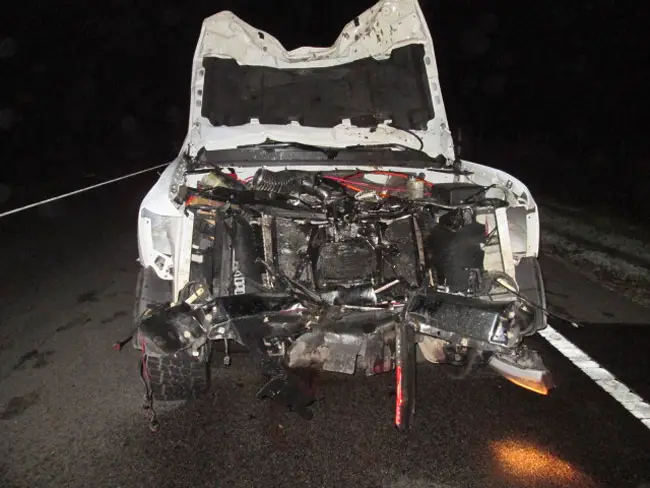 A pick-up truck on State Road 100 was first to crash into a cow at 11:30 p.m. Tuesday evening, totaling the vehicle. (FCSO)