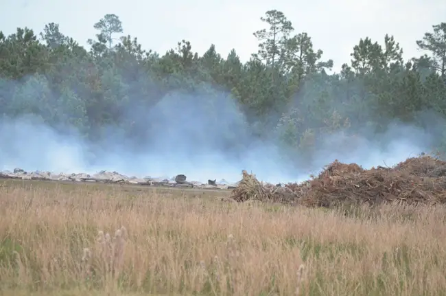 The debris pile was reduced to smoldering embers this afternoon, its smoke drifting toward Palm Coast's B Section. (c FlaglerLive)