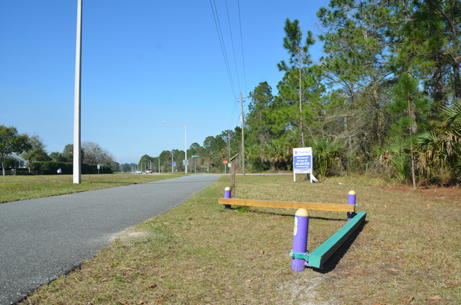 The intersection of Pine Lakes Parkway at Wynnfield Drive falls along a popular biking, walking and exercise path, and a wall of woods, some of which would be cut down to make room for a gas station and convenience store. (c FlaglerLive)