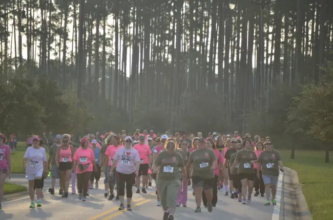 The Pink Army run, which drew more than 500 participants (and possibly as many as 800) as it began its first kilometer in Town Center Sunday morning. Click on the image for larger view. (c FlaglerLive)
