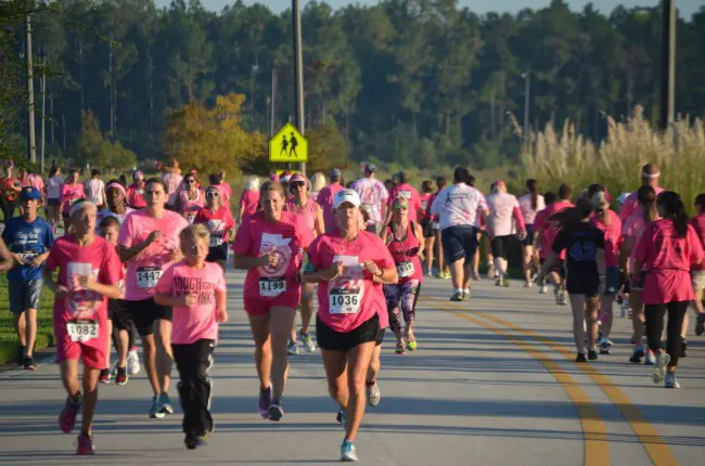 Pink Army runners this morning in Town Center, thronging the ranks of the 5K event. Click on the image for larger view. (© FlaglerLive)