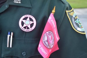 sheriff pink badges