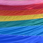 The target, of course, is pride flags. (© FlaglerLive)