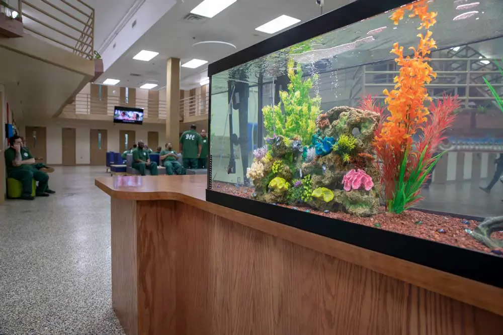 Prisoners and staff share responsibility for taking care of the fish tank at the ‘Little Scandinavia’ housing unit in a Pennsylvania prison. (Pennsylvania Government Commonwealth Media Services)