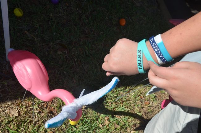 Jake Blumengarten shows the Project THINK bracelet handed to new students at Rymfire Elementary as part of the project's mentoring benefits. Click on the image for larger view. (© FlaglerLive)