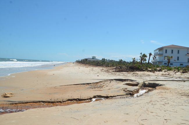 Water pumped out of ditches in Marineland Acres dumped into the ocean. There are no dunes left. Click on the image for larger view. (c FlaglerLive) 