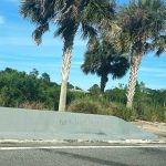 A frustrated driver wrote "Put a light here!" on the concrete barrier along Royal Palms Parkway at the intersection with Town Center Boulevard, a notoriously congested area at rush times. The city is planning to widen Town Center Boulevard to four lanes from that spot to Old Kings Road. (© FlaglerLive)