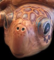 The Palm Cost Arts Foundation's "Quilty," the sixth in the foundation's trail of sculpted and painted turtles, is unveiled today at Waterfront Park. See details below.