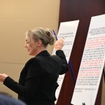 Rachel Crews of GrayRobinson representing Palm Coast before Circuit Judge Chris France in a different case last November. (© FlaglerLive)