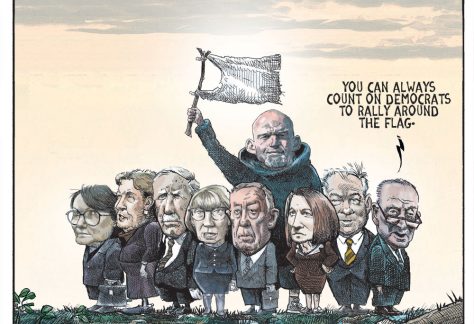 Democrats rally around the flag by Michael de Adder, CagleCartoons.com