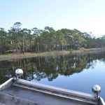 U.S. Rep. Randy Fine thinks Pellicer Creek and 2,800 square miles of Florida land should be federalized. (© FlaglerLive)