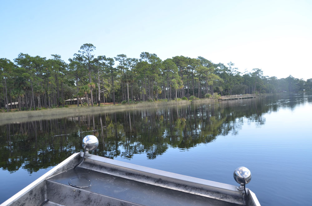 U.S. Rep. Randy Fine thinks Pellicer Creek and 2,800 square miles of Florida land should be federalized. (© FlaglerLive)
