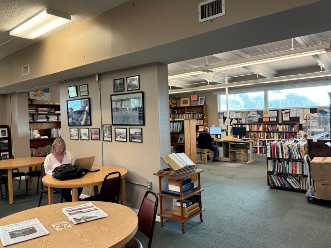 flagler beach library