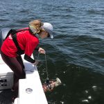 A Florida Fish and Wildlife scientist takes red tide samples. (FWC)