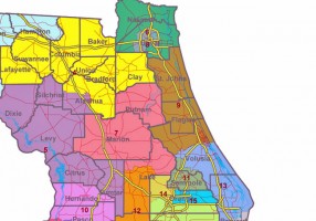 redistricting olivera plan flagler