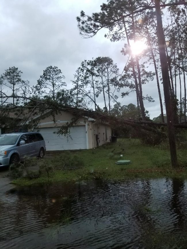 On Reedsville Drive at the west end of Palm Coast's R Section. (Contributed)