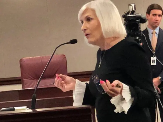 '$59 million. Really?,' Karen Leicht told a Senate panel. 'You think I can ever pay that? I’ll never vote in this state again, at this rate. That’s like a poll tax.' (NSF)