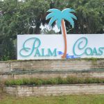 palm coast survey