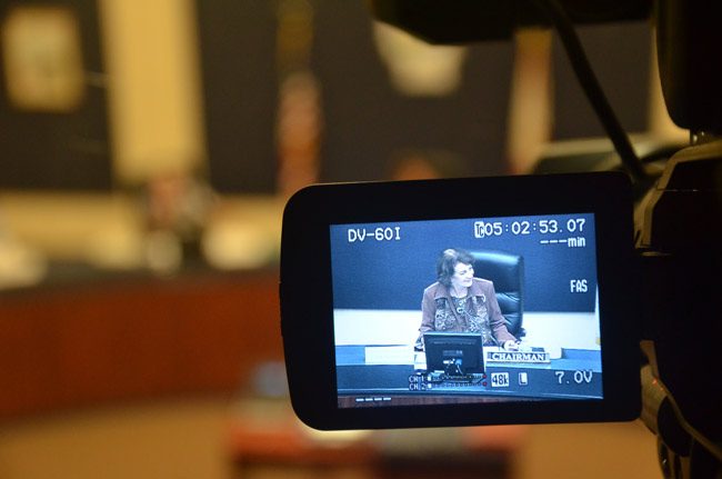 Barbara Revels, seen here at the inaugural meeting of the Flagler County Economic Opportunity Advisory Council in November 2011, will be taking up a seat on the council again following her appointment by the County Commission on Monday. (© FlaglerLive)