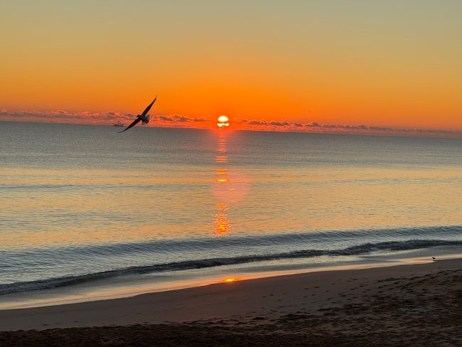 Flagler Beach City Commissioner Rick Belhumeur rang in the year's first sunrise with this picture. 