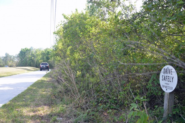 Barely 20 yards from the scene, across the road, a memorial for a previous death. A third memorial, for a man who died on a Harley, is located a few steps north of this one. Click on the image for larger view. (© FlaglerLive)