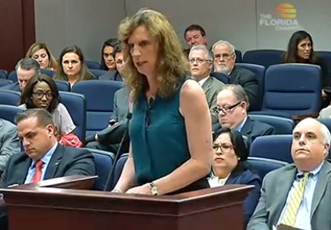 Cindy Robert Sullivan addressing the Civil Justice Subcommittee Wednesday, with Rep. Artiles to her right. (Florida Channel)