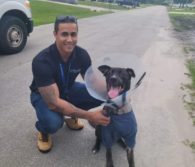 Rocky and Kasey Hagan of Palm Coast Animal Control about six weeks after the shooting, and as he was adopted. (Palm Coast)