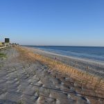 Without a beach-management plan, Flagler Beach's (or any beach's) renourishment project will not take root. (© FlaglerLive)